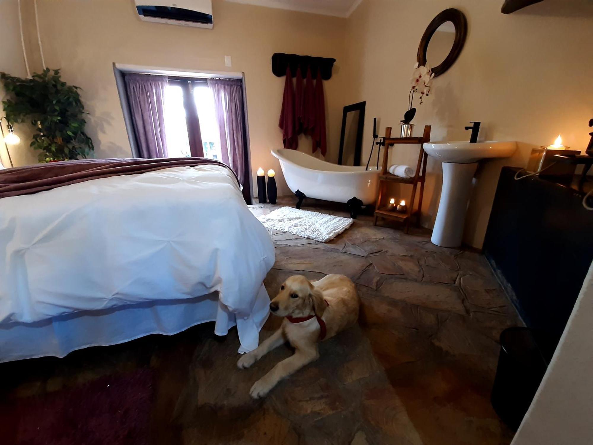 Rosenhof Manor House - Since 1847 Lejlighed Clanwilliam Eksteriør billede